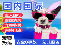 白山机场空运国际宠物托运 【国